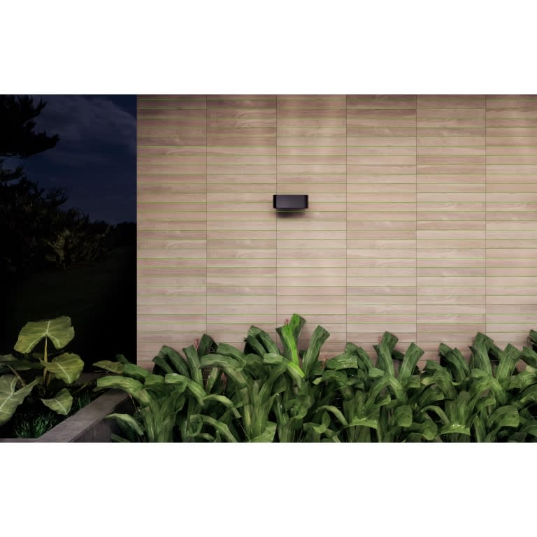 RADIANT OAK MT 8X18