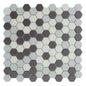 SOURCE DARK BLD 1" HEX MO/1111