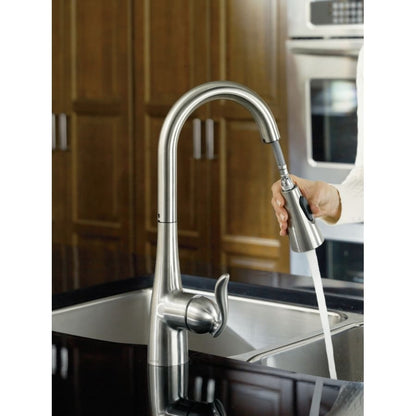 Arbor Single Handle Pulldown Spray Kitchen Faucet with Reflex Technology