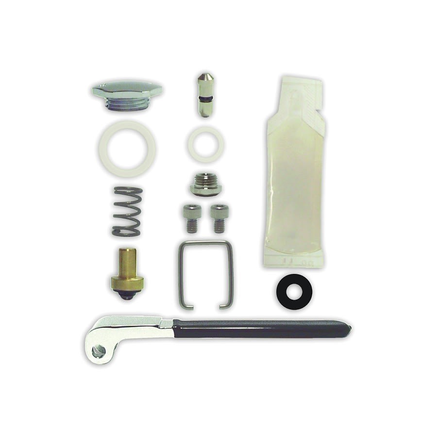 Spray Valve Repair Kit, Brass