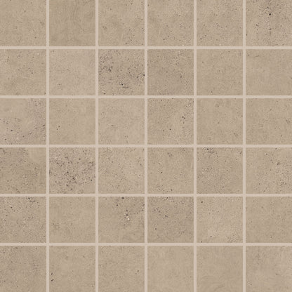 Modern Formation Canyon Taupe Rectangle 12X24 Polished