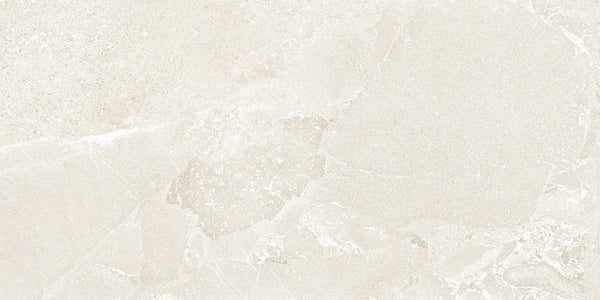 AVALON ARENA 24X48 R