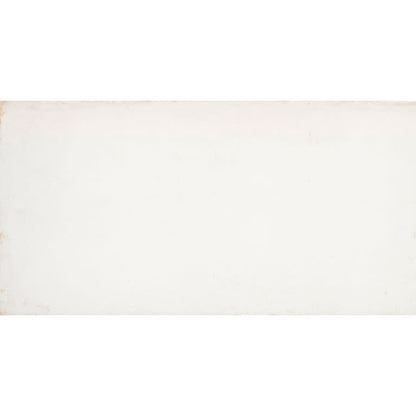 COGENT WHITE 16X31