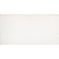 COGENT WHITE 16X31