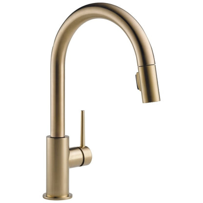 Trinsic® Kitchen Faucet, Deck Mount, ADA, 1 Lever Handle, 1-Hole, Champagne Bronze