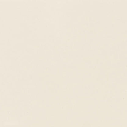 Color Wheel Classic Biscuit Rectangle, Bevel 3X6 Glossy