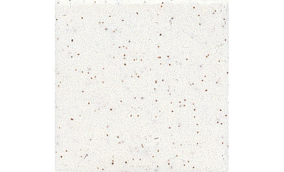 Unglazed Mosaics Salt & Pepper Straight Joint 2X2 Matte