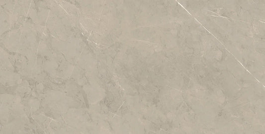 PIASENTINA SILVER UP 12X24 R