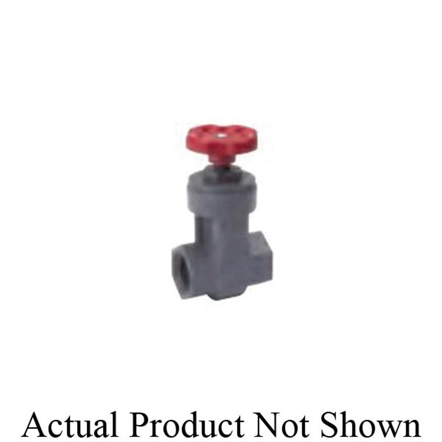 Spring Check Valve, 1/2 in, FNPT, PVC