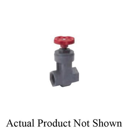 Spring Check Valve, 1/2 in, FNPT, PVC
