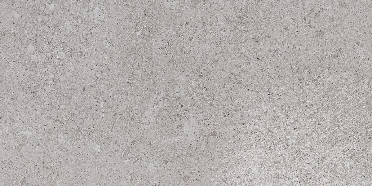 Dignitary Eminence Grey Rectangle 12X24 Matte