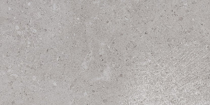 Dignitary Eminence Grey Rectangle 12X24 Textured