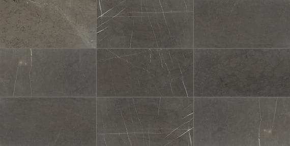 Marble Antico Scuro Square 12X12 Honed