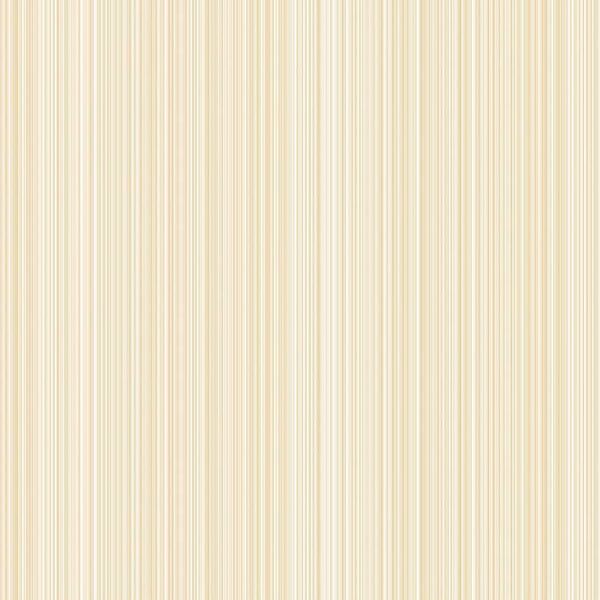 SKINS FEEL CORDUROY 118 60X1000 (Make to order)