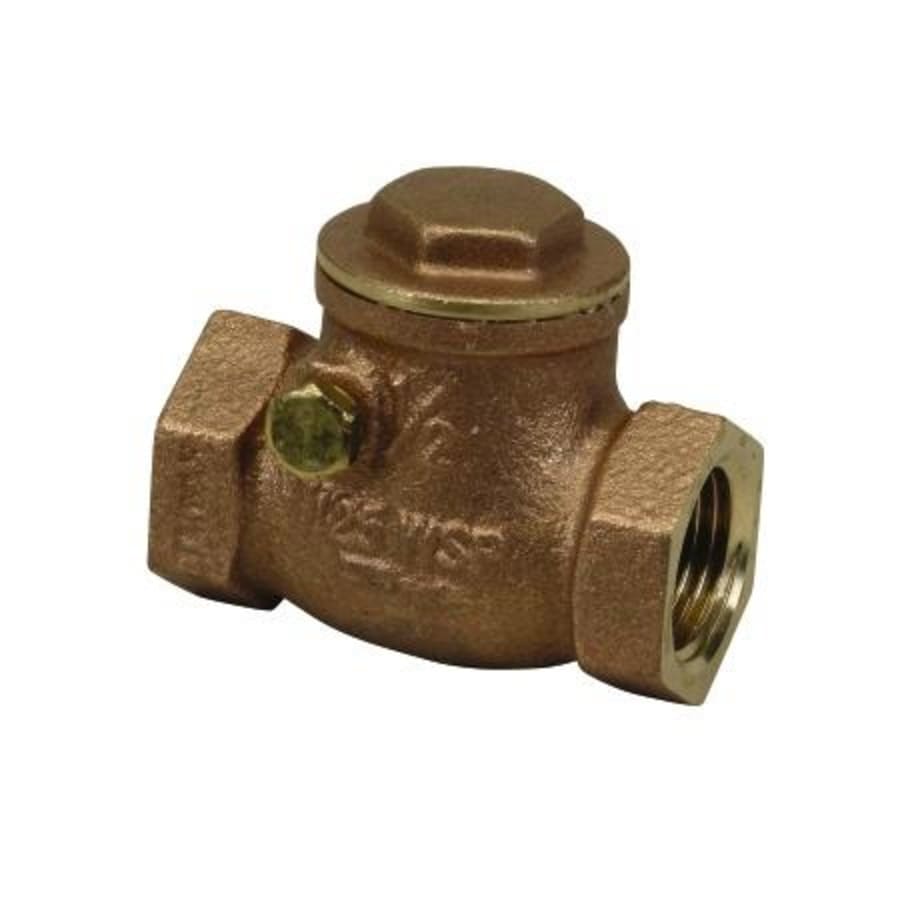 2-1/2" Swing Check Valve