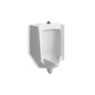 Bardon™ Flat Back Urinal, ADA, Top Spud, 0.125/1 gpf, White