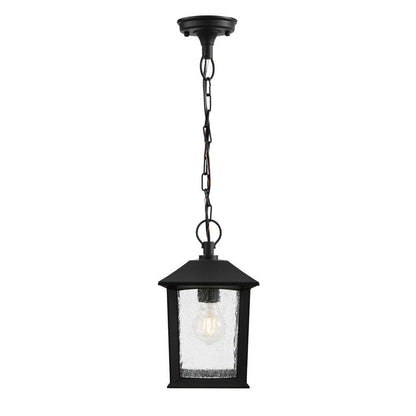 Ashton 1-Light Black Outdoor Pendant Light with Clear Seeded Glass