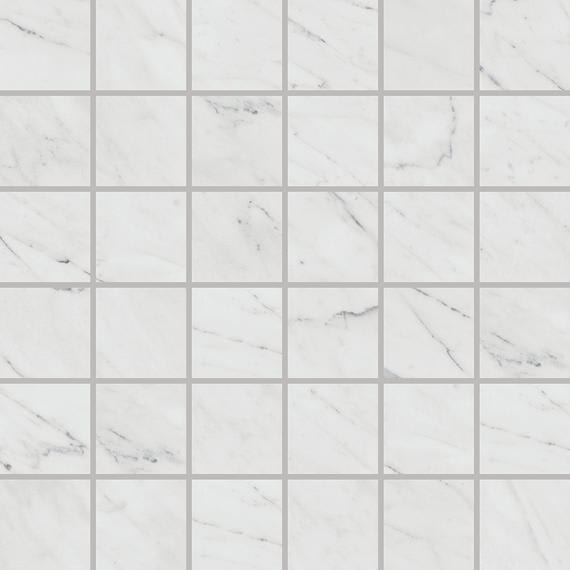 Marble Attache Lavish Diamond Carrara Rectangle 24X48 Satin