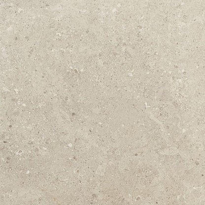 Dignitary Notable Beige Xterior Paver 24X24 Textured