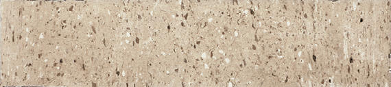 Curation Stucco Rectangle, Splatter 24X48 Polished