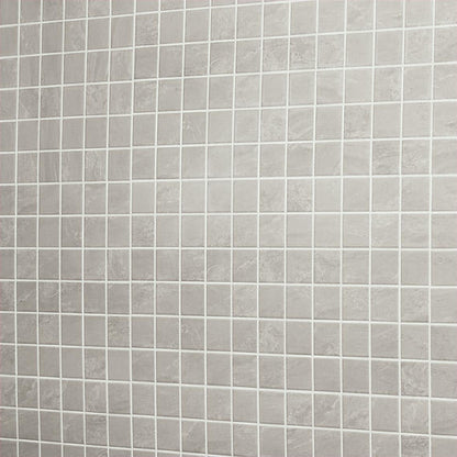 Platinum Mist Rectangle 12X24 Glossy