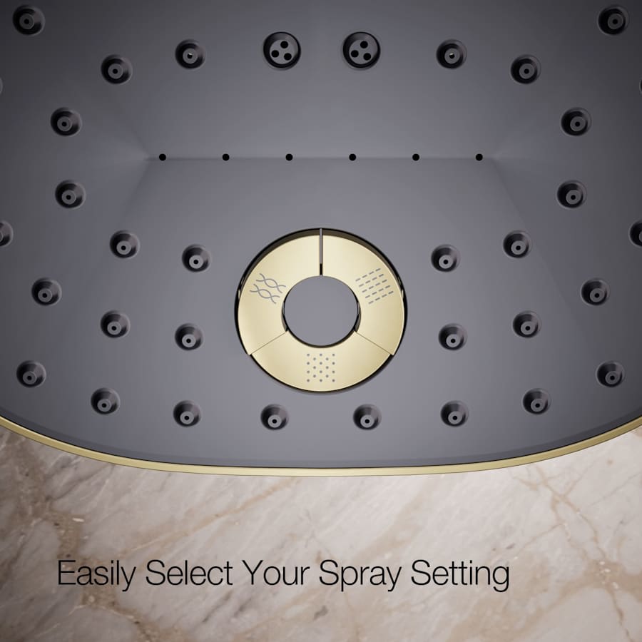 Statement 2.5 GPM Multi Function Shower Head with MasterClean Sprayface and Katalyst Air Induction Technology