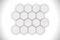 Winsario Statvario 3" Hexagon