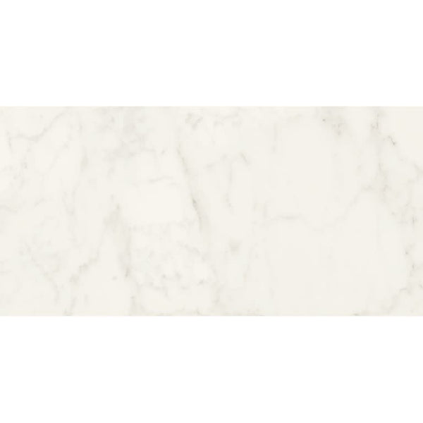 DYNAMIX ADUCCI BIANCO PL 12X24 Limited Availability