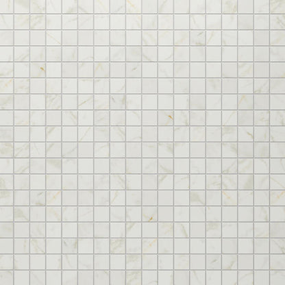 Panoramic Duet Diamond Mine Square 24X24 Matte