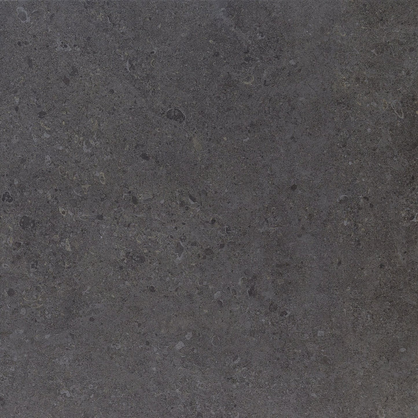 Dignitary Governor Black Rectangle 6X24 Matte