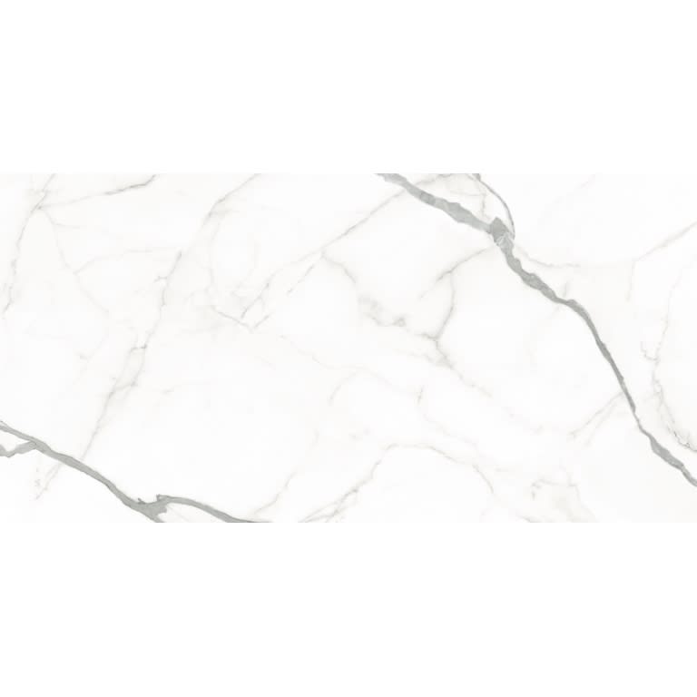 EXPANSE VENATO WHITE PL 63X126