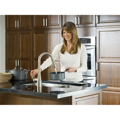 Arbor Single Handle Pulldown Spray Kitchen Faucet with Reflex Technology