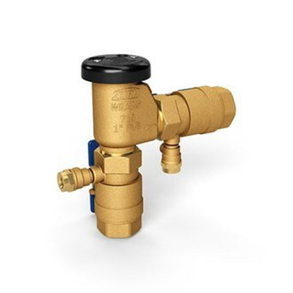 Vacuum Breaker, 1 in, FNPT, Bronze