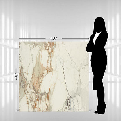 Panoramic Duet Calacatta Topaz Rectangle 12X24 Polished