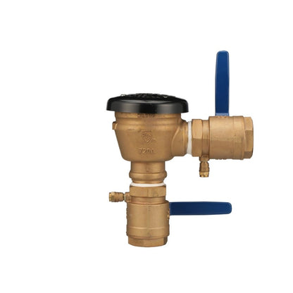 Vacuum Breaker, 2 in, FNPT, Bronze