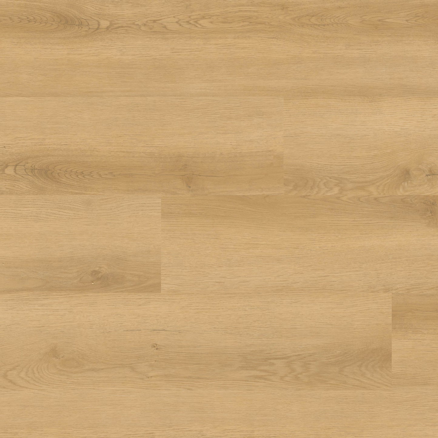 NOVE PLUS HYDE HAVEN 9X48
