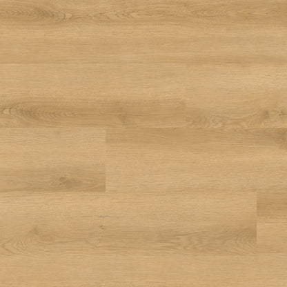 NOVE PLUS HYDE HAVEN 9X48