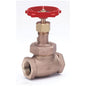 590 Rising Stem Globe Valve, 1/2 in, FNPT, Bronze