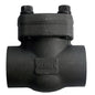 Socket Welded Check Valve, 2 in, Carbon Steel Body