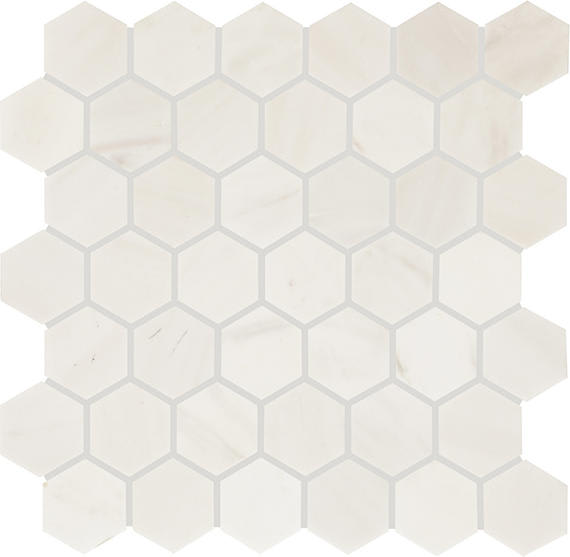 Eclessia Marble Pacifica Hexagon 2X2 Honed