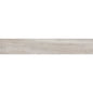 RADIANT PLAIN MOON INR11 8X47