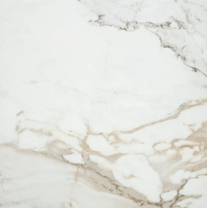 Platinum Magnolia Rectangle 6X18 Glossy