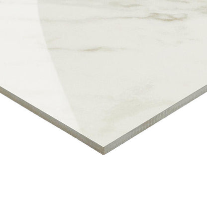 Panoramic Duet Diamond Mine Rectangle 24X48 Matte