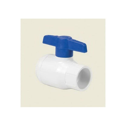 1-Piece Ball Valve, 1 in, Socket, Standard Port, PVC Ball, PVC