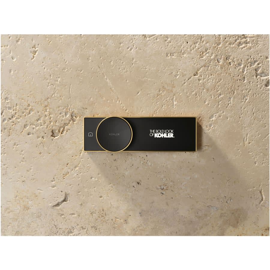 Anthem Programmable Digital Shower Controller