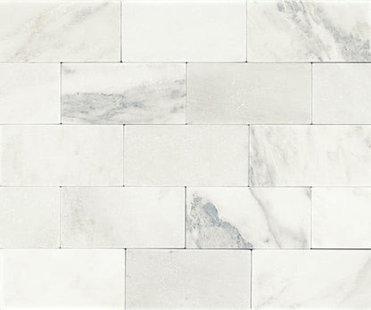 Marble First Snow Elegance Rectangle 3X6 Polished