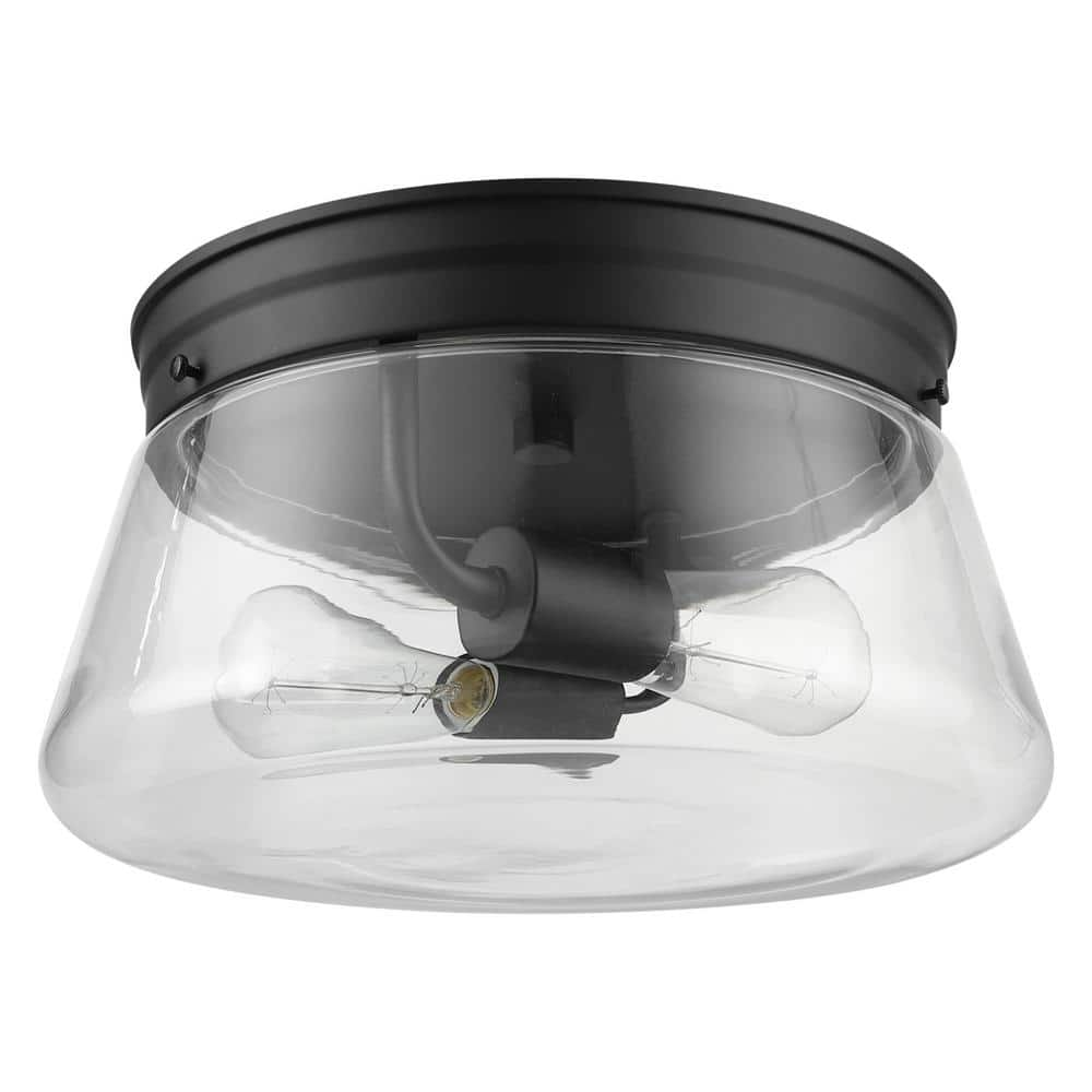 Aleyna 2-Light Matte Black Outdoor/Indoor Flush Mount Light with Clear Glass Shade