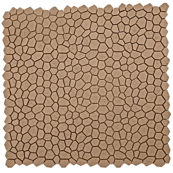 REVIFY BRONZE MT DOT/MO