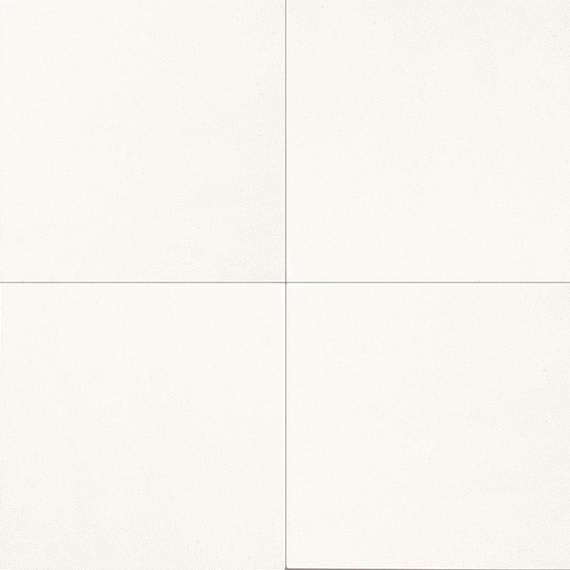 Marble Thassos White Rectangle 12X24 Polished