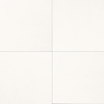 Marble Thassos White Rectangle 12X24 Honed